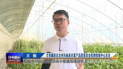全省農(nóng)業(yè)社會化服務現(xiàn)場推進會與會人員在我區(qū)觀摩