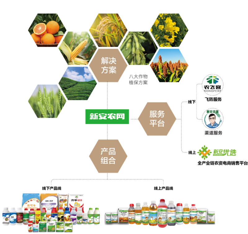做精做優(yōu)“農(nóng)業(yè)芯片” 我國(guó)種業(yè)振興取得顯著成效