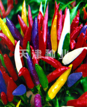 天津種業(yè)發(fā)展現(xiàn)狀與產(chǎn)品參考指南