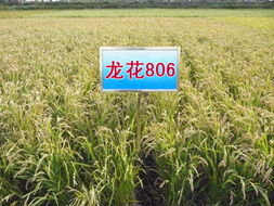 佳木斯科潤(rùn)種業(yè) 一站式農(nóng)資服務(wù)，助力農(nóng)業(yè)豐收